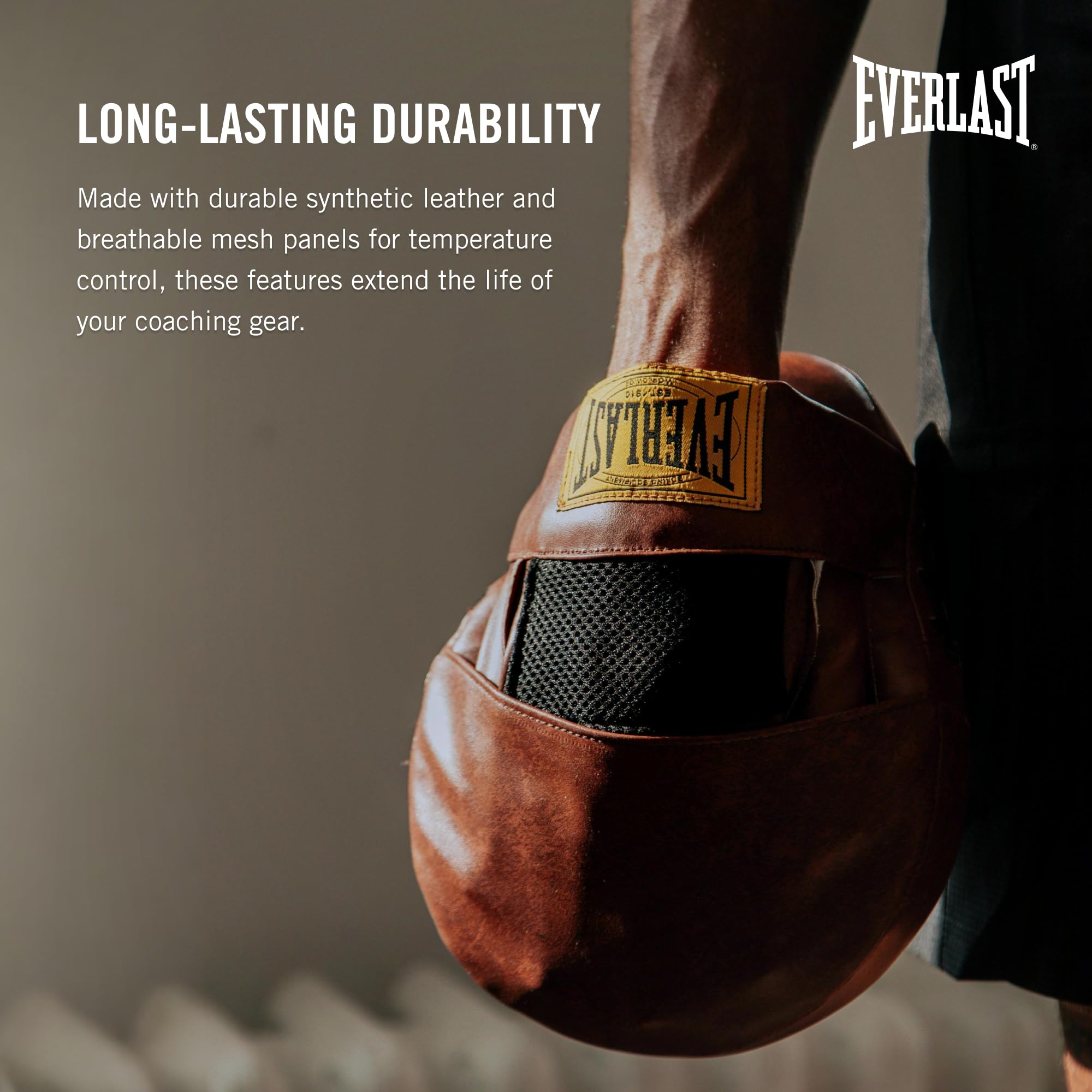 Everlast 1910 Leather Focus Mitts | Vintage Training Punching Mitts