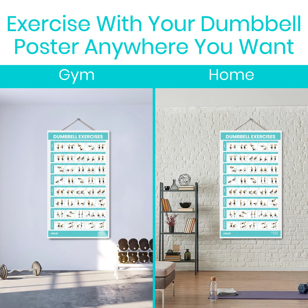 Vive Dumbbell Workout Poster - Home Gym Exercise For Upper, Lower, Full Body - Laminated Bodyweight Chart For Back, Arm, Core An