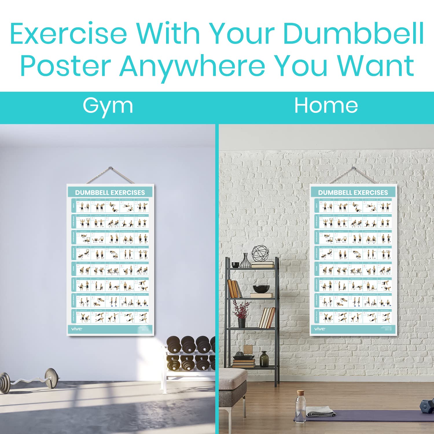 Vive Dumbbell Workout Poster - Home Gym Exercise For Upper, Lower, Full Body - Laminated Bodyweight Chart For Back, Arm, Core An