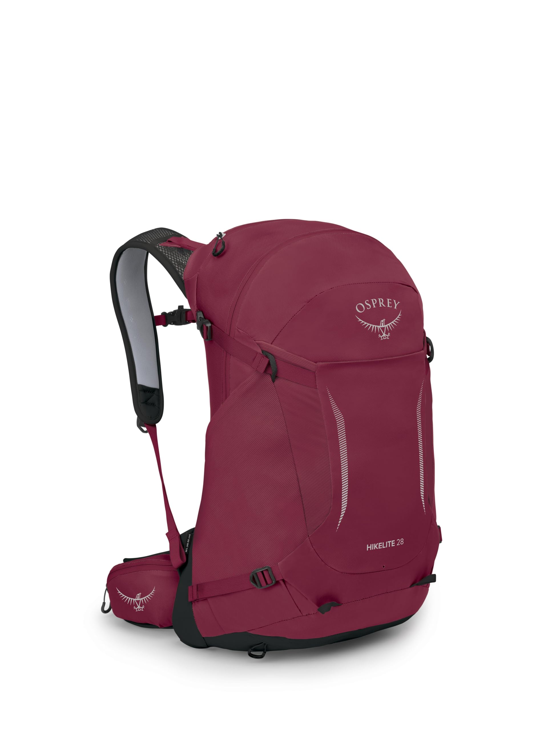Osprey Hikelite 28L Lightweight Hiking Backpack - Durable Travel Daypack with Rain Cover for Men and Women, Chameleon/Black, M/L