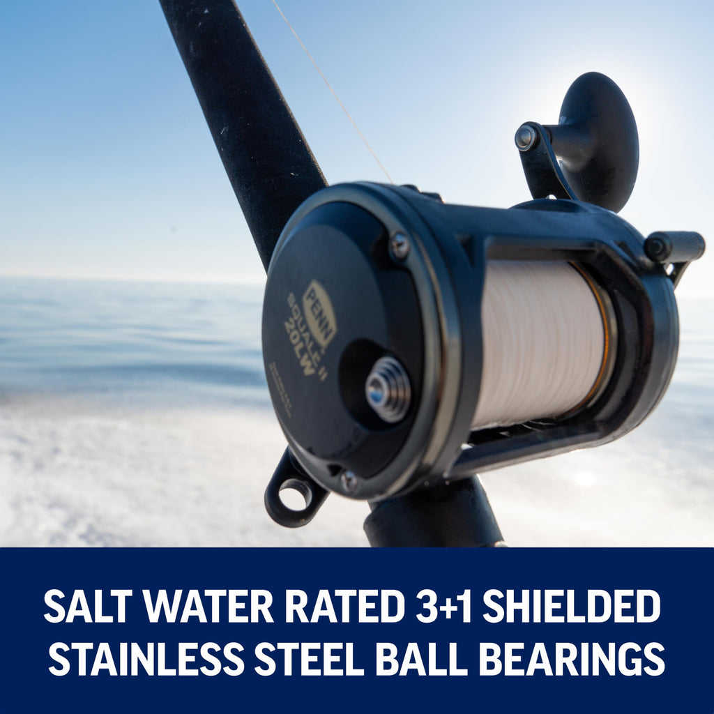 Penn Squall Ii Level Wind Conventional Reel And Fishing Rod Combo, Black/Gold