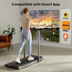 Hitgo Walking Pad For Home Office, Portable Under Desk 2 In 1 Treadmill With Foldable Handle, Remote Control, App, And Led Displ