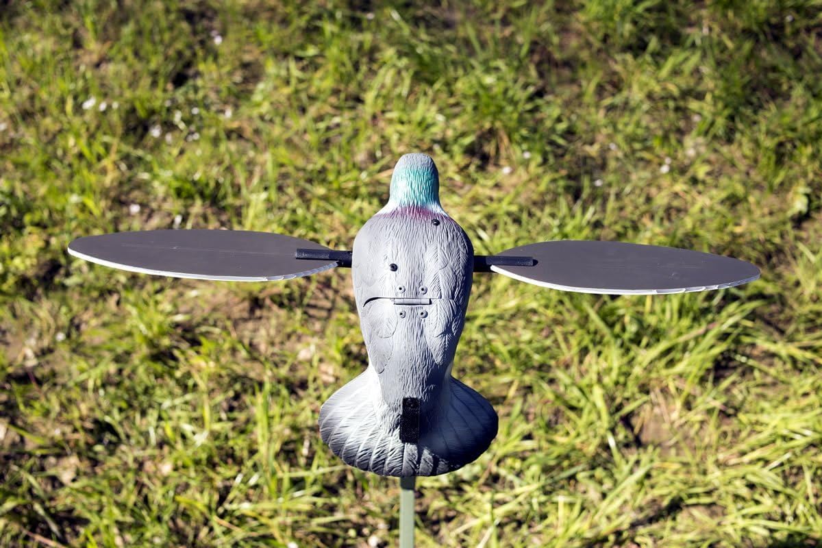 Mojo Pigeon Spinning Wing Dove Decoy For Dove Hunting