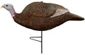 Primos Gobbstopper Hd Submissive Hen Decoy