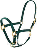 Hamilton 3/4-Inch Nylon Arabian Horse Halter with Adjustable Chin and Throat Snap, Average, 800 to 1100 pounds, Dark Green