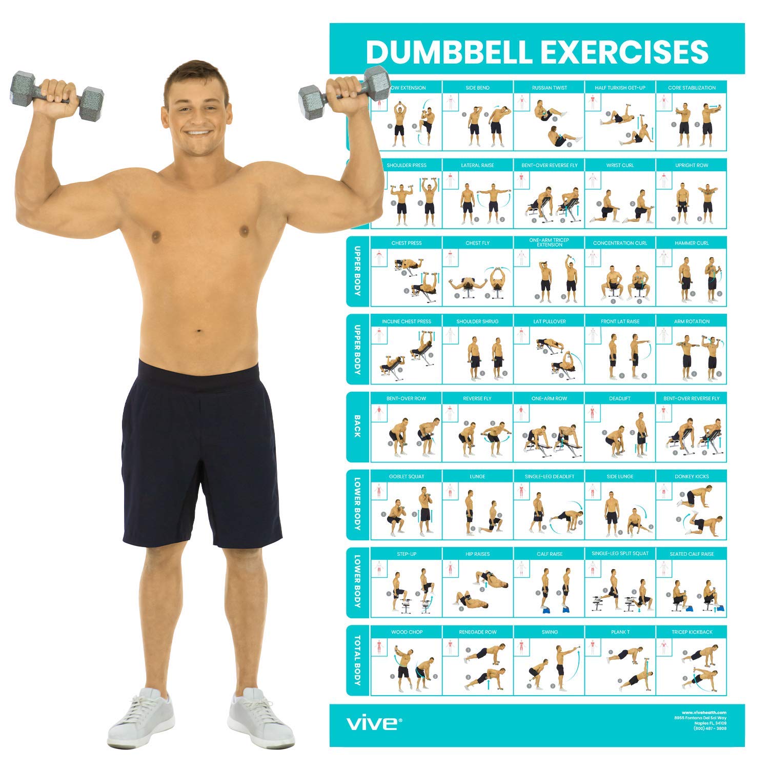 Vive Dumbbell Workout Poster - Home Gym Exercise For Upper, Lower, Full Body - Laminated Bodyweight Chart For Back, Arm, Core An