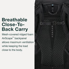 Osprey Sportlite 30L Lightweight Hiking Backpack for Men and Women, Pine Leaf Green, S/M