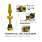 Bwshlf Gloden Tubeless Presta Valve Stem 40Mm  44Mm, Super Light Alloy Presta Valve Stem Kit With Valve Core Remover Tool And Va