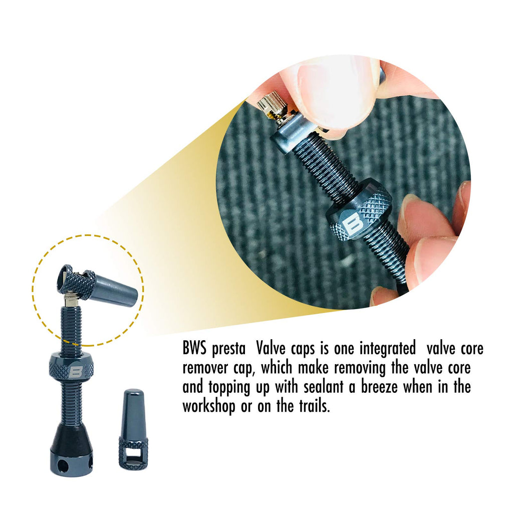 Bwshlf Gloden Tubeless Presta Valve Stem 40Mm  44Mm, Super Light Alloy Presta Valve Stem Kit With Valve Core Remover Tool And Va