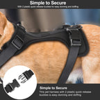 No Pull Lightweight Dog Harness: Adjustable Durable Breathable Mesh Pet Vest Harness With Soft And Comfortable Cushion, Easy To