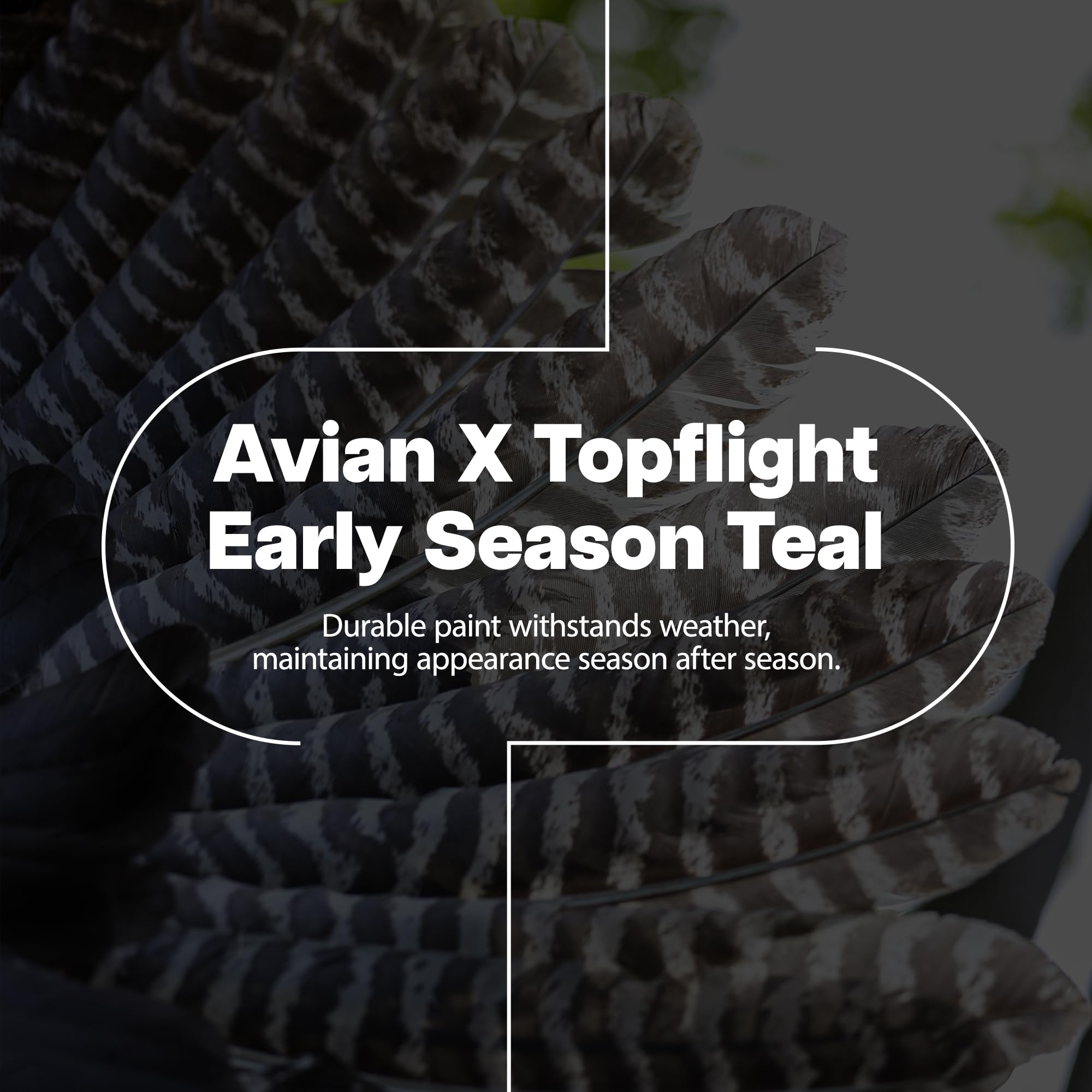 Avian X Topflight Early Season Teal With True To Life Postures And Rugged Design For Hunting Purposes, Outdoor Sports, And Recre