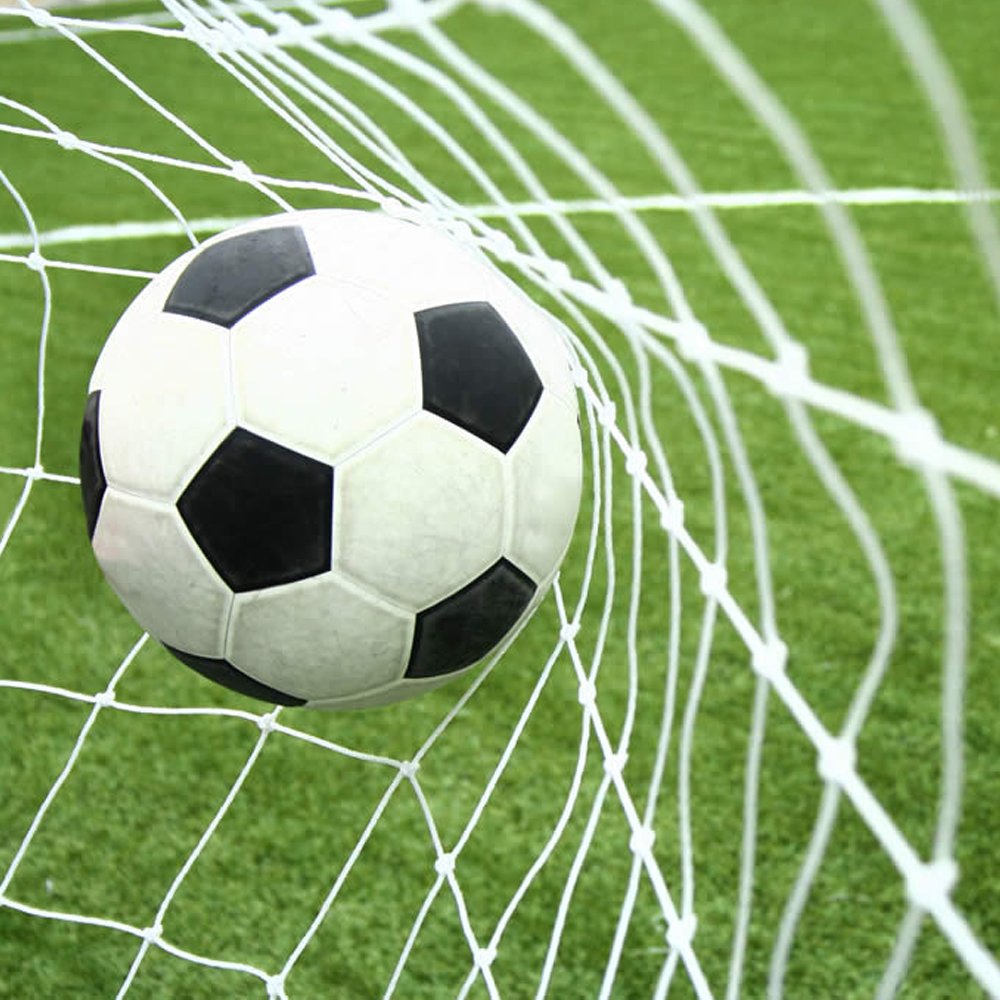 Soccer Goal Net Football Polyethylene Training Nets Full Size, Post Not Included (24 X 8Ft)