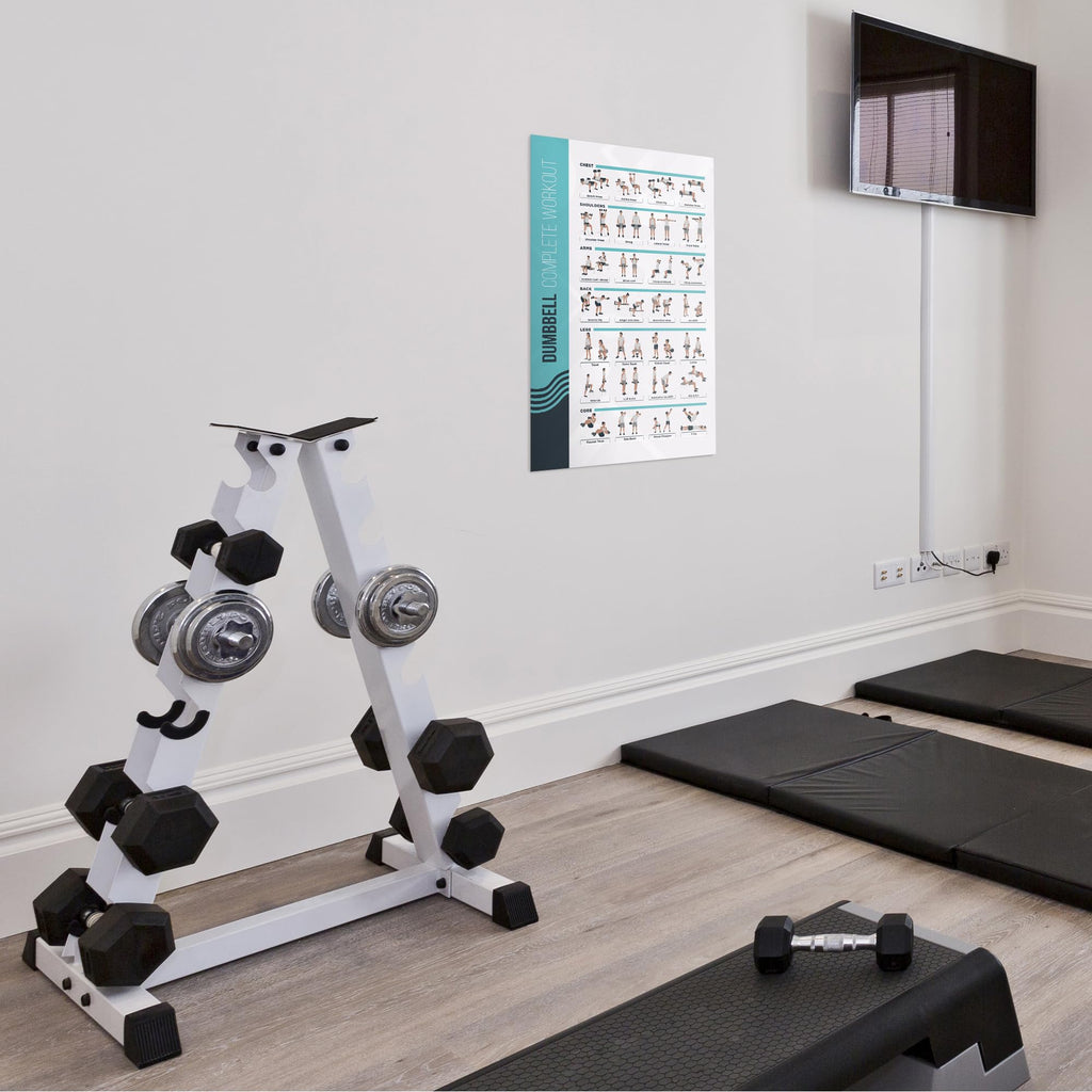 Fitmate Dumbbell Workout Exercise Poster - Workout Routine With Free Weights, Home Gym Decor, Room Guide (16.5 X 25 Inch)