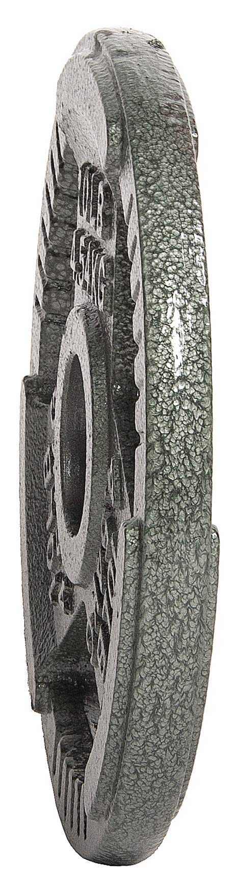 Balancefrom Olympic 2-Inch Cast Iron Plate Weight Plate For Strength Training And Weightlifting, 10-Pound, Set Of 4