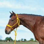 Cashel Flat Braid Halter And Leadrope, Gold