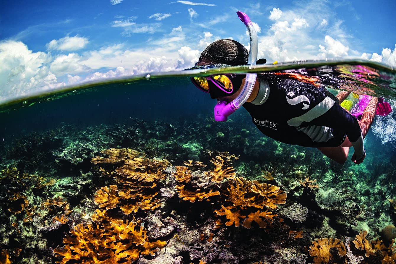 Scubapro Spectra Snorkel (Black/Silver)