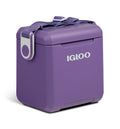 Igloo Tag Along Too Cooler Remix | Dusted Grape