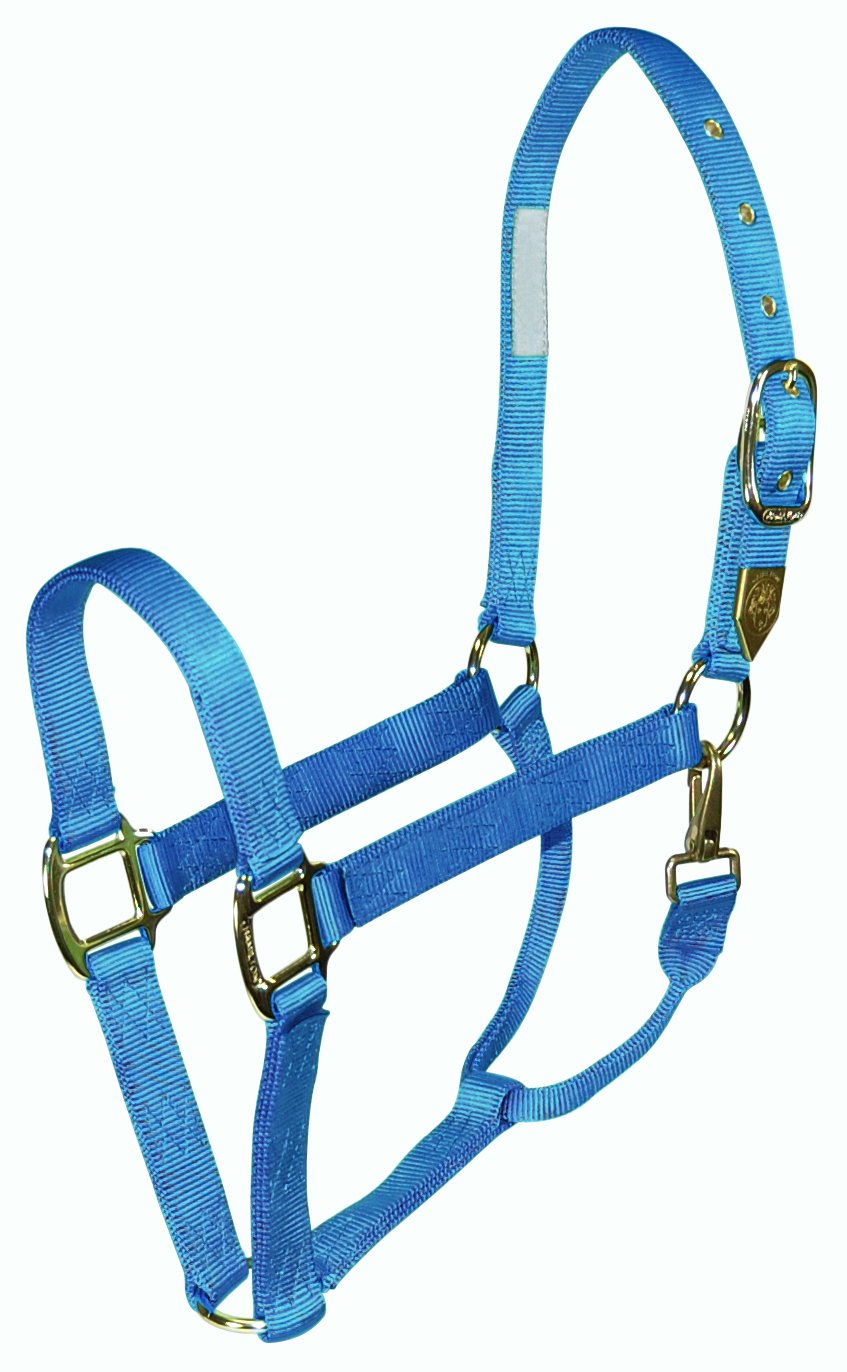 Hamilton 1 Horse Halter with Snap, Small Size (500-800 lbs), Berry