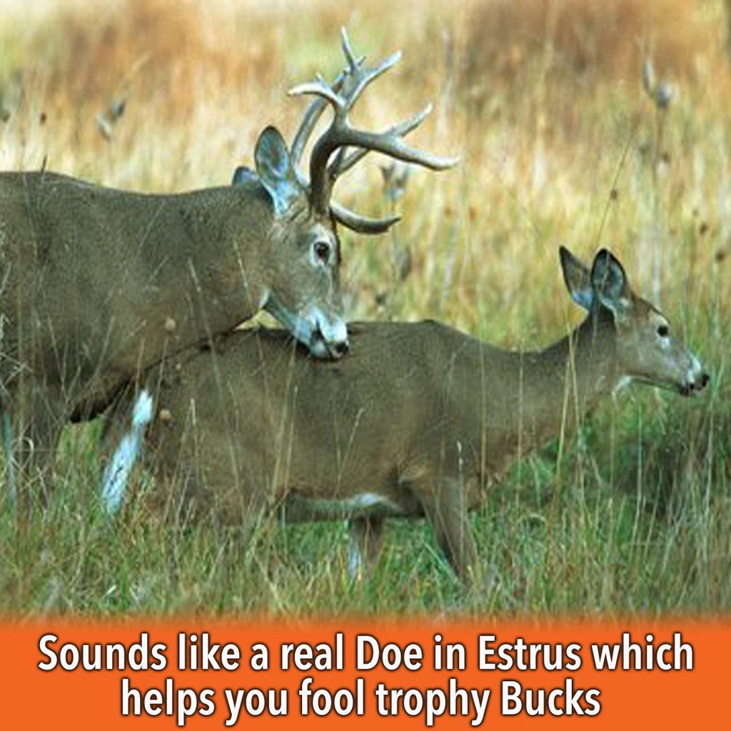 Nationwide Scents Deer Call | Buck Grunt Call For Whitetail Deer Hunting | Custom Cherry Wood Grunt Tube | Professional Deer Gru