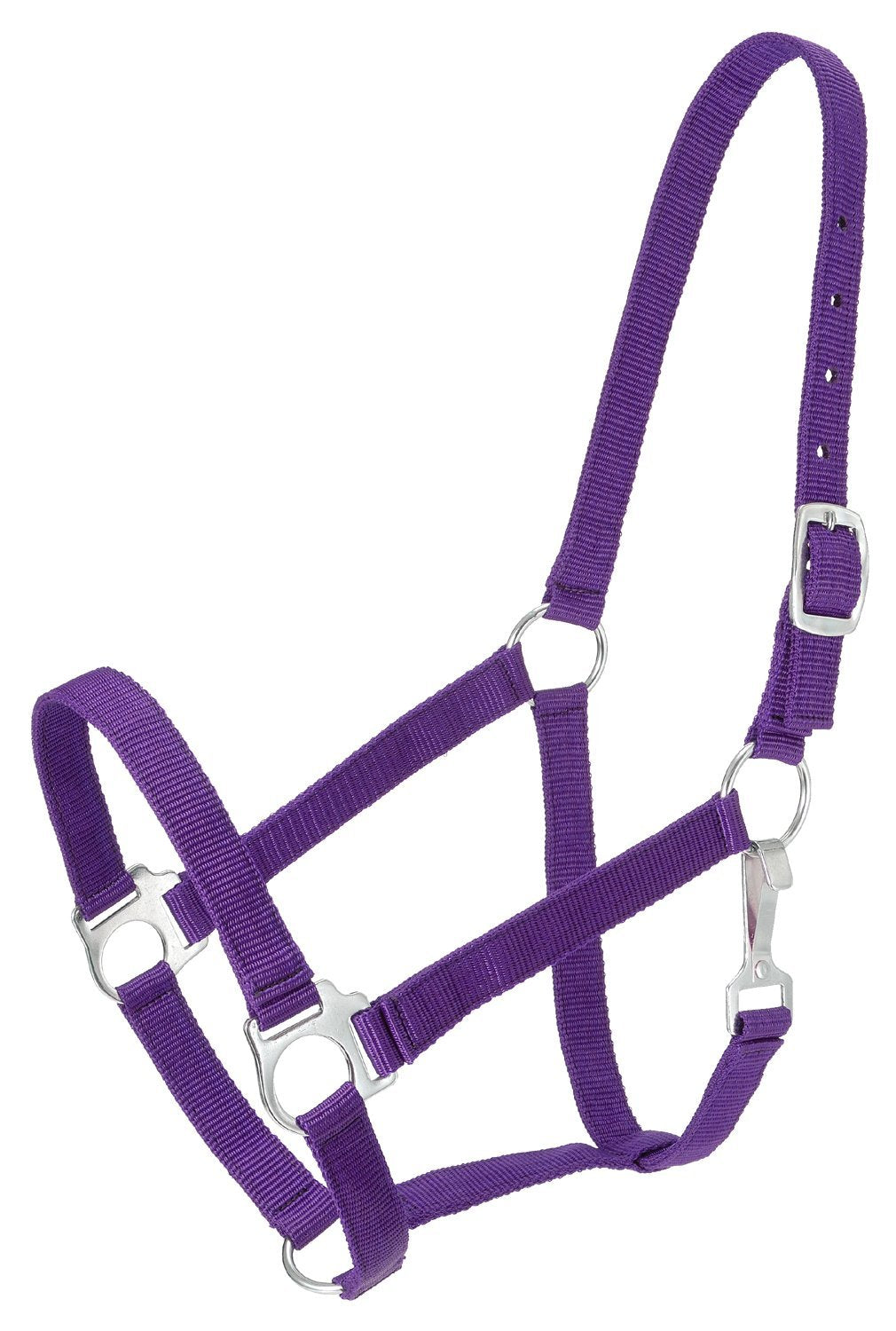 Tough 1 Tough-1 Economy Halter, Purple, Horse