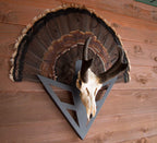 Do-All Outdoors Dead Deer Strut-N-Skull - Solid Steel Deer Mount - European Mount With Turkey Fan Display - Skull Mount Turkey T
