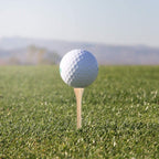 Juvale 300 Pack Bamboo Golf Tees In Bulk (2 3/4 Inch, Natural Wood Color)