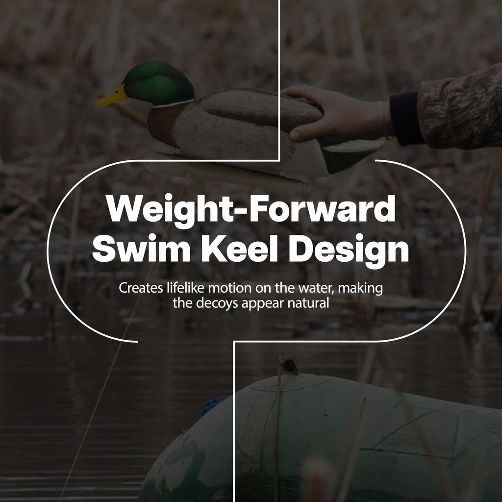 Avian X Topflight Backwater Mallards Duck Decoys Pack, Ultra Realistic Floating Mallard Hunting Decoy, 3 Feeding Postures, Multi