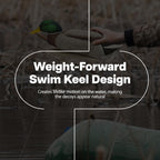 Avian X Topflight Backwater Mallards Duck Decoys Pack, Ultra Realistic Floating Mallard Hunting Decoy, 3 Feeding Postures, Multi