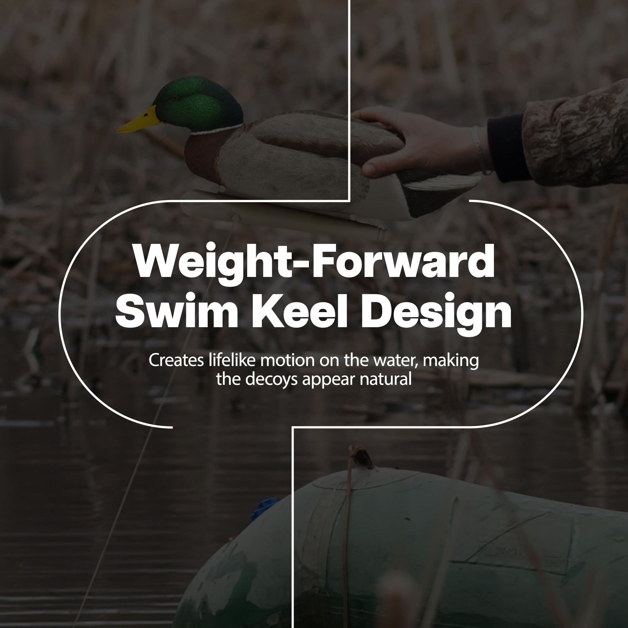 Avian X Topflight Backwater Mallards Duck Decoys Pack, Ultra Realistic Floating Mallard Hunting Decoy, 3 Feeding Postures, Multi