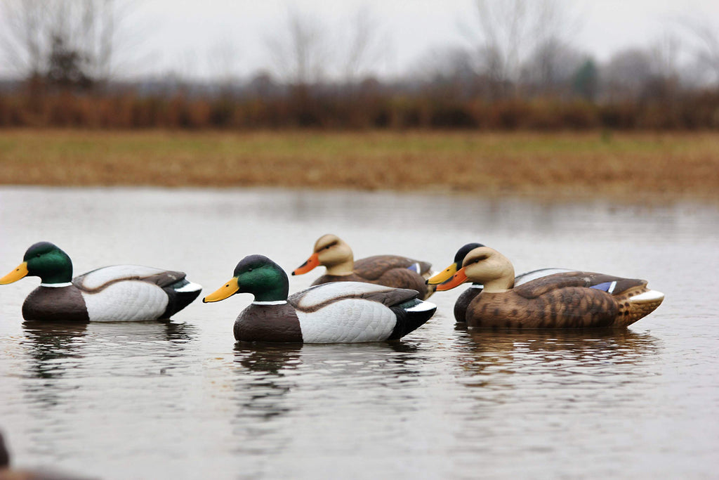 Flambeau Outdoors 5900Msu Masters Series Extreme Mallard Duck Decoys 3-Pack Hunting Decoys