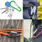 20 Pack Carabiners Clips With Keychain D Ring Caribeaner Clip Hook For Backpack Water Bottle Key Home Rv Outdoor Small Item (3 S