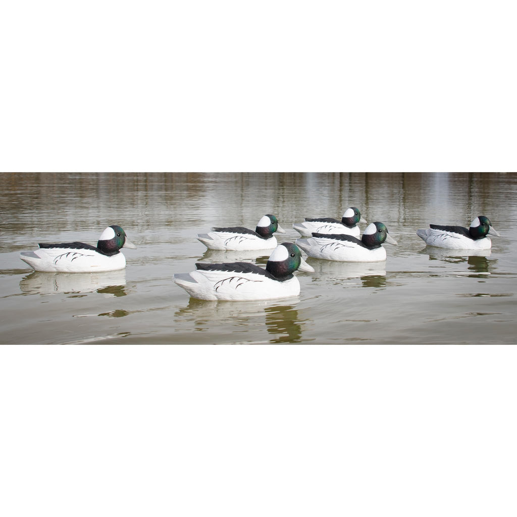 Higdon Outdoors Standard Bufflehead Duck Decoys, All Drakes, Foam-Filled