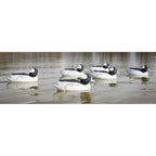 Higdon Outdoors Standard Bufflehead Duck Decoys, All Drakes, Foam-Filled