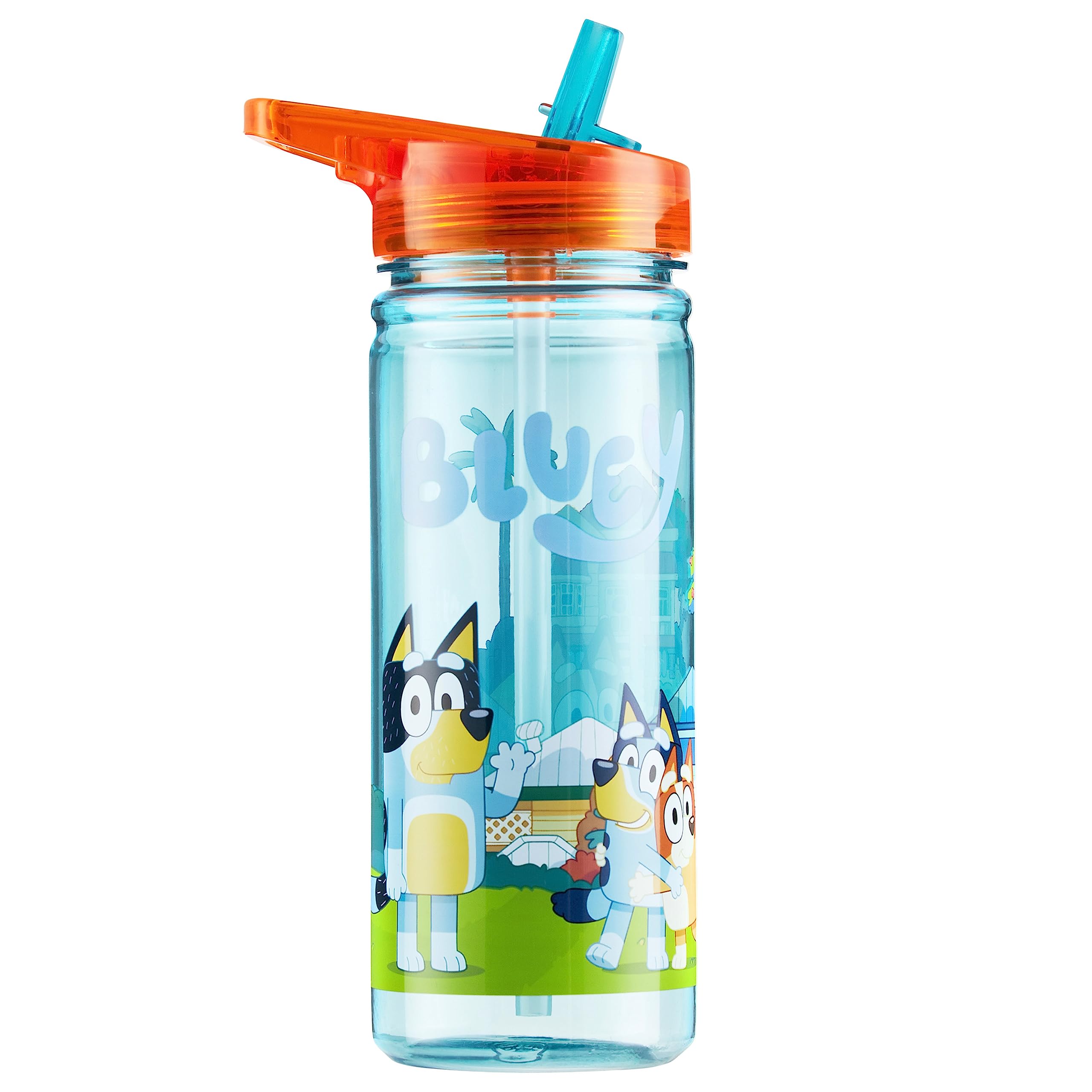 Bluey 560Ml/580Ml Plastic Water Bottle With Straw, Bpa Free, 3D Travel Reusable Bottle, Perfect For Nursery, Preschool, Sports,