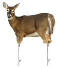 Montana Decoy 0053: Trixie Whitetail Doe Decoy