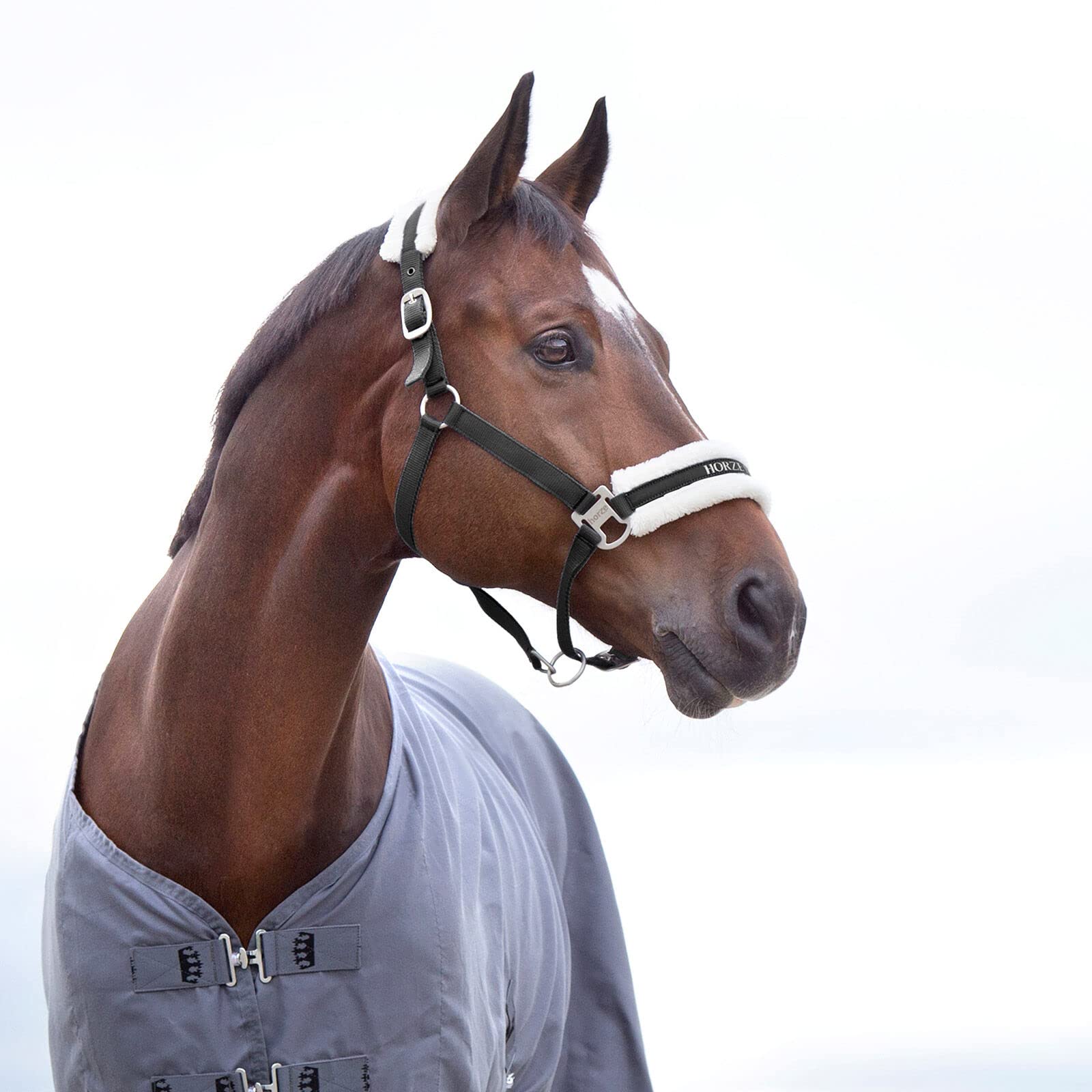 HORZE Howard Soft Fleece Padded Adjustable Polyester Horse Halter - Black - Pony