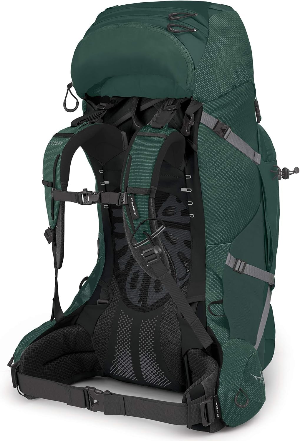 Osprey Aether Plus 70L Mens Backpacking Backpack, Axo Green, L/XL