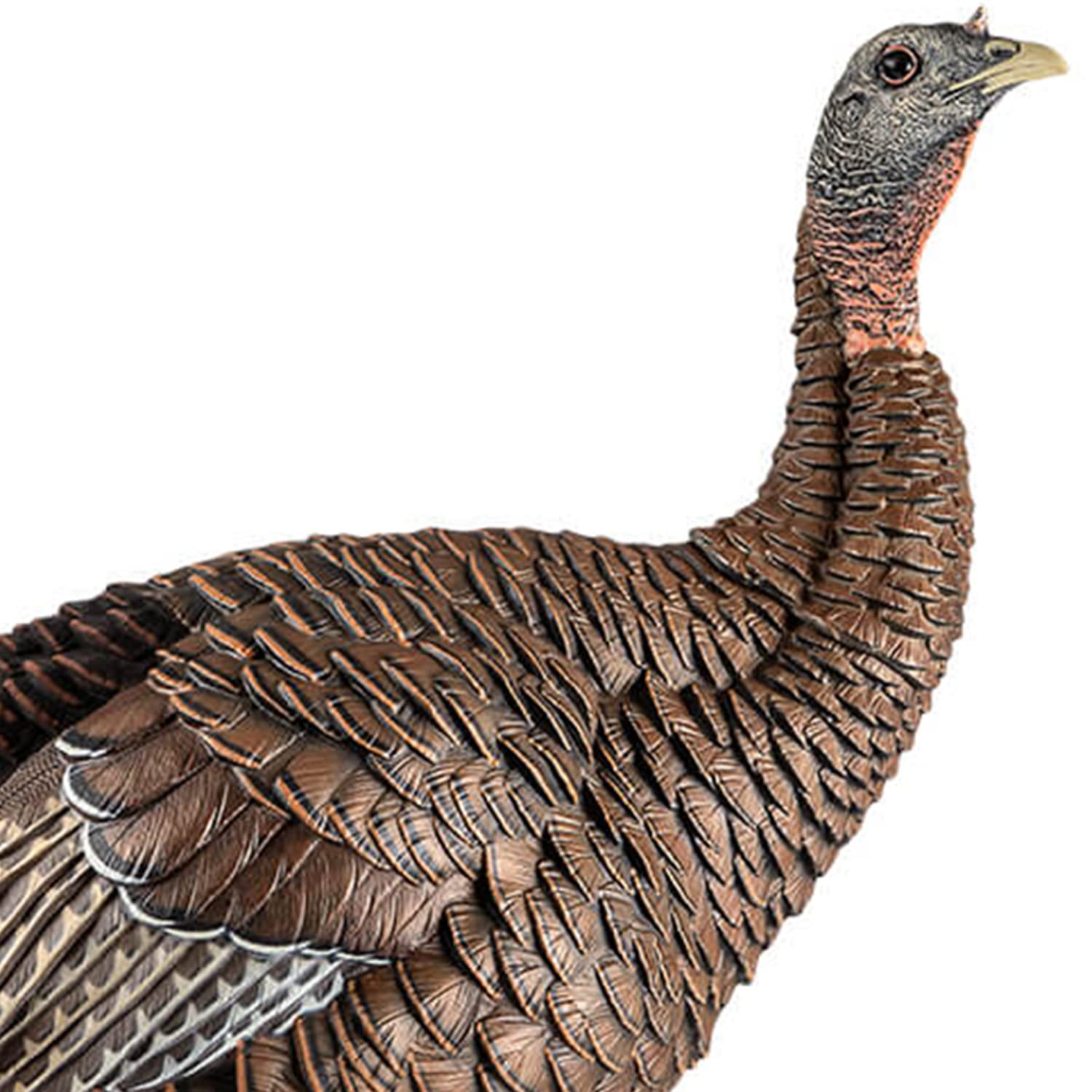Avian-X Hdr Hen Turkey Decoy | Durable Realistic Lifelike Standing Hunting Decoy With 2 Removable Heads, Carry Bag & Integrated