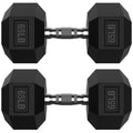 HANDBODE 65LB Hex Dumbbell Pair, Rubber Encased Hexagonal Hand Weights for Strength Training, Workouts & Exercise
