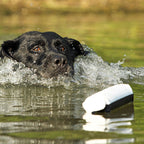 Avery Sporting Dog Canvas Training Bumper - Durable, Water-Resistant Training Dummy For Hunting Dogs (Flasher (Black/White), 2)