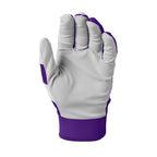Evoshield Srz-1       Youth Batting Gloves - Purple, Youth Medium