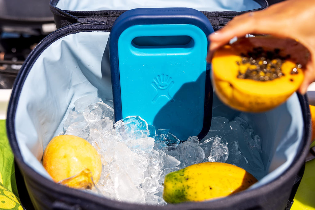 Hydro Flask Ice Pack - Accessory Reusable Freezer - Refreezable, Bpa-Free, Non-Toxic Small