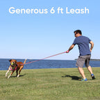 Pawtitas 6 Ft Padded Dog Leash With Comfortable Neoprene Padding Handle - Camo Green Lead  Medium Reflective Dog Leash With High