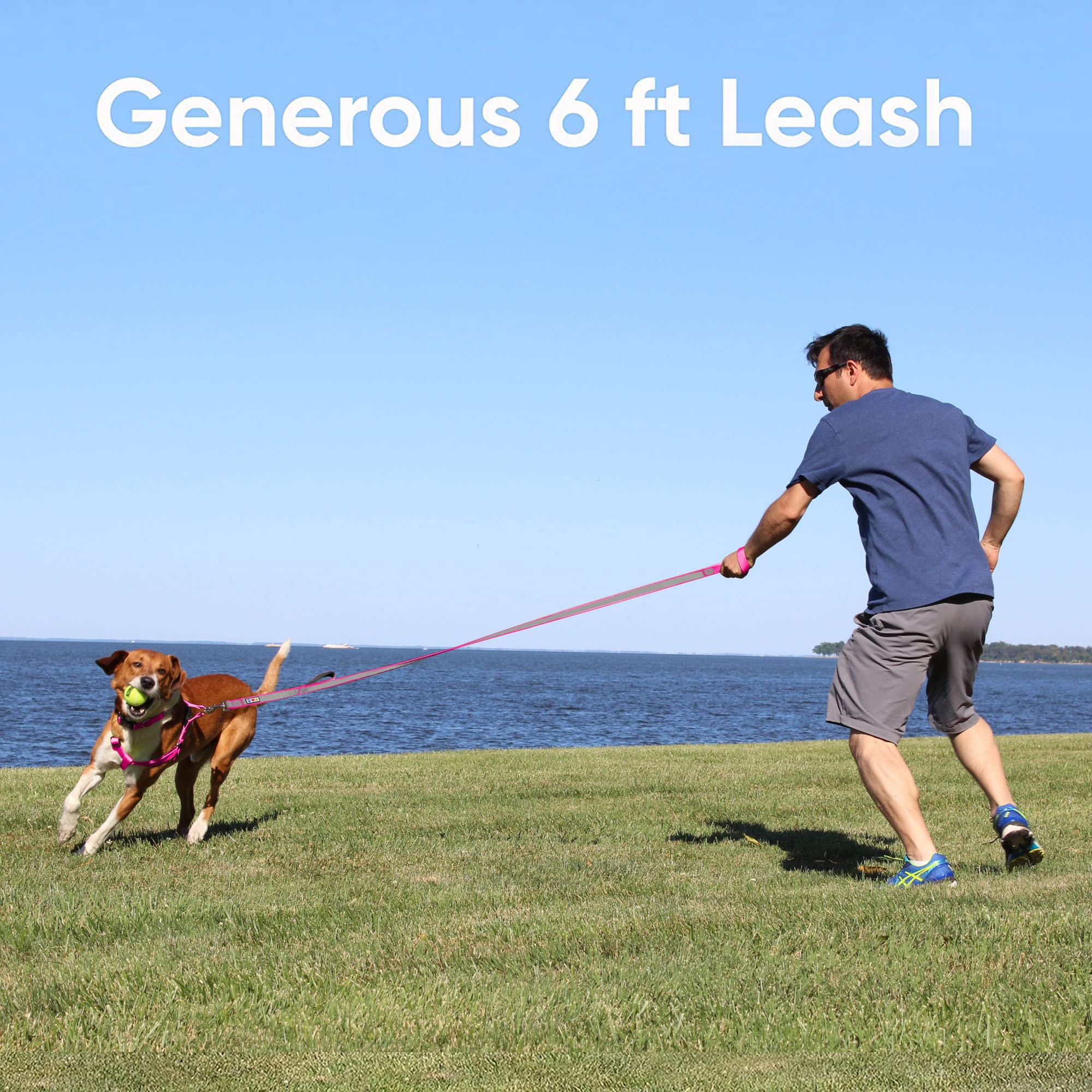 Pawtitas 6 Ft Padded Dog Leash With Comfortable Neoprene Padding Handle - Camo Green Lead  Medium Reflective Dog Leash With High