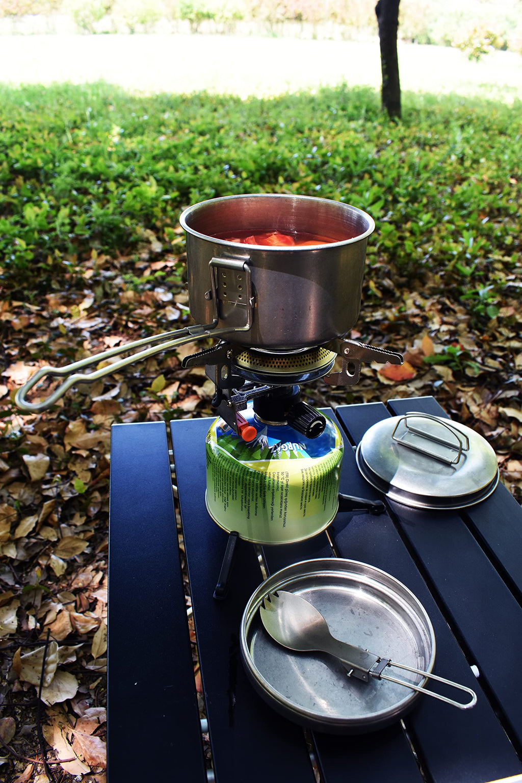 Dzrzvd Windproof Portable Backpacking Stove Burner With Piezo Ignition,Stove Adapter,Plastic Storage Box,Lightweight,Propane But