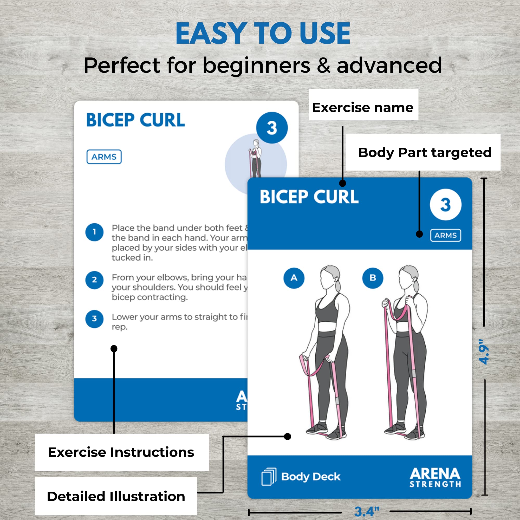 Arena Strength Band Fitness Workout Cards- Instructional Fitness Deck For Resistance Band Workouts, Beginner Fitness Guide For R