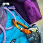 Petzl Grigri Belay Device - Belay Device With Cam-Assisted Blocking For Sport, Trad, And Top-Rope Climbing - Red