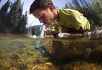 Lifestraw Personal Water Filter For Hiking, Camping, Travel, And Emergency Preparedness, 3 Pack, Blue