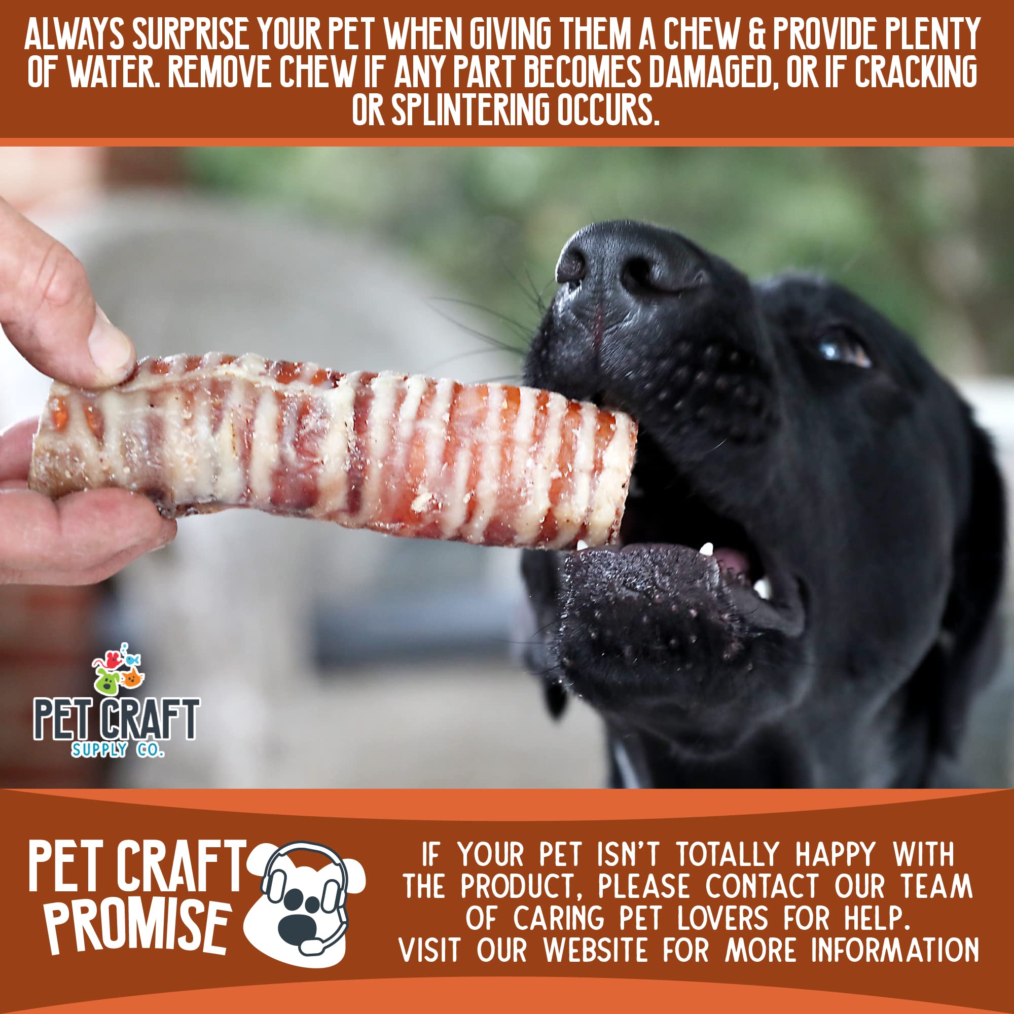 Pet Craft Supply All Natural Healthy Beef Trachea Bones Dog Chews Treats For Aggressive Chewers Long Lasting Rawhide Free Made I