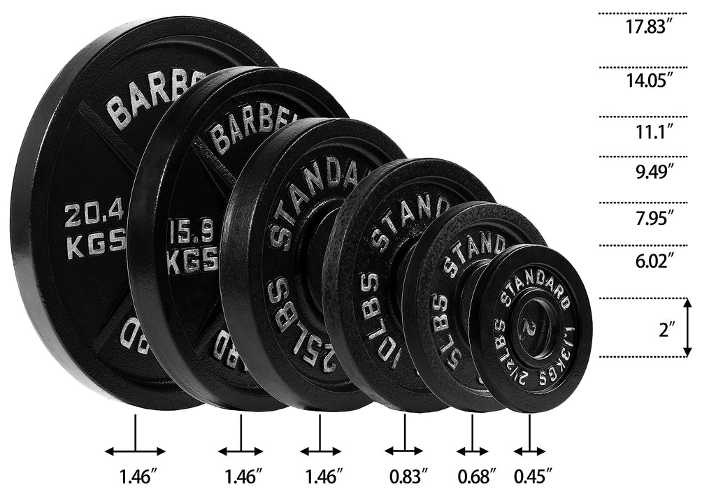 Fitvids Olympic 2-Inch Cast Iron Plate Weight Plate For Strength Training And Weightlifting, Vintage Style, Alloy Steel,25Lb Pai